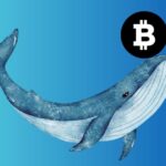 Whale Withdraws 536 BTC Ahead Of Halving, What’s Next