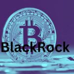BlackRock ETF IBIT Had Its First Net Outflow Since Its Launch