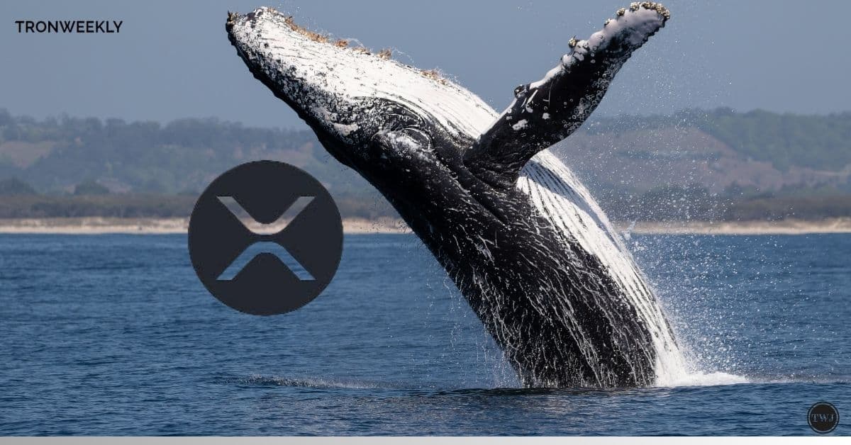 XRP