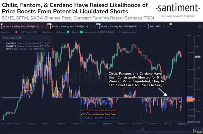 Cardano