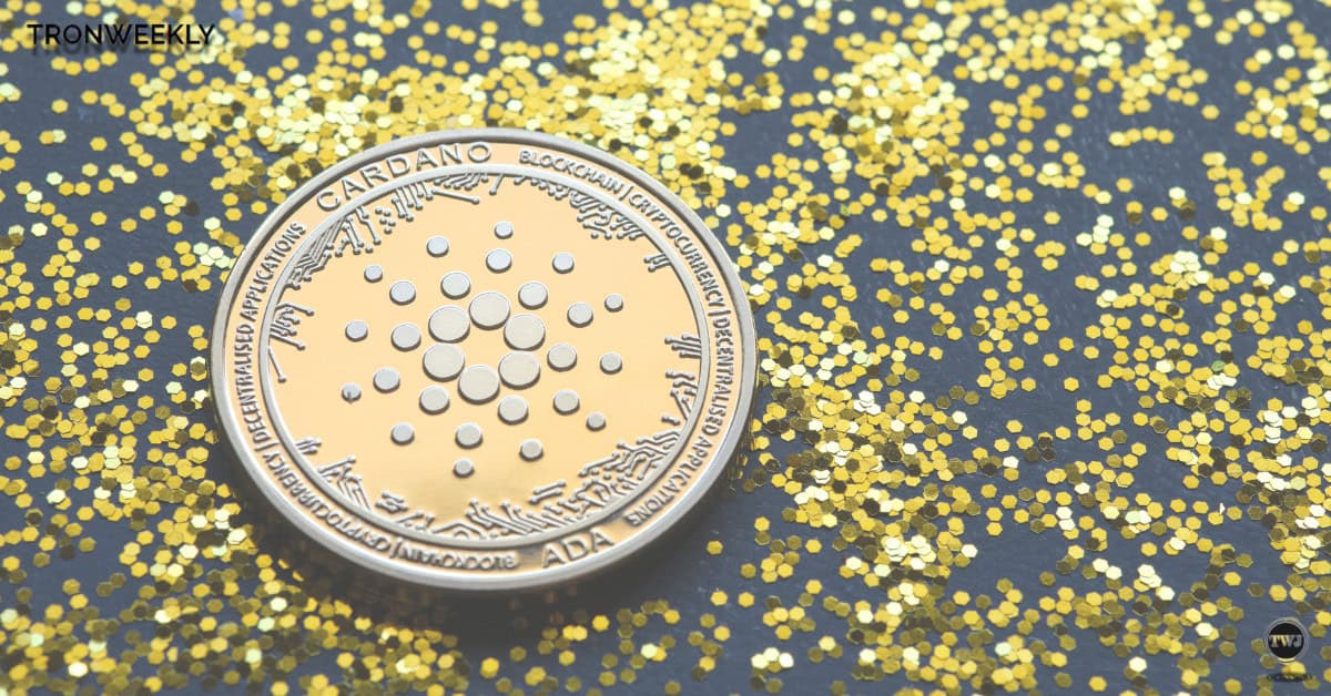 Cardano Founder Critiques Solana Amid Meme Coin Frenzy