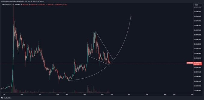 Shiba Inu's Mastermind Steps Down, What's Next? 2 Shiba Inu