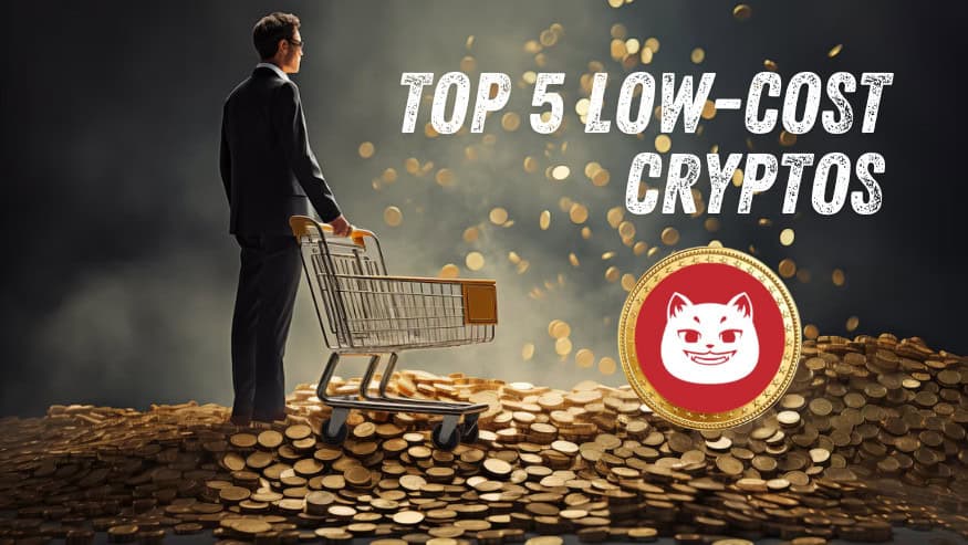 The Best Budget-Friendly Cryptos for Everyday Investors—Massive ROI Potential