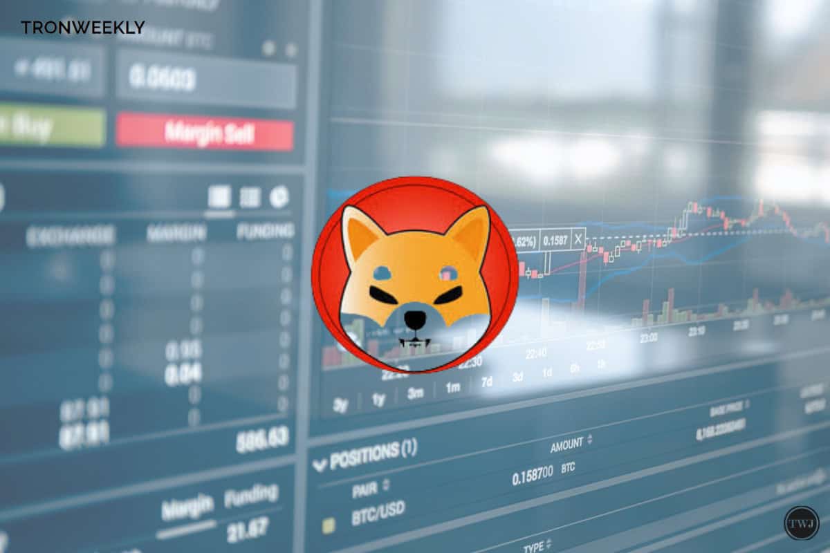 Shiba Inu Poised For Massive 17x Surge, Can It Break Out Soon?