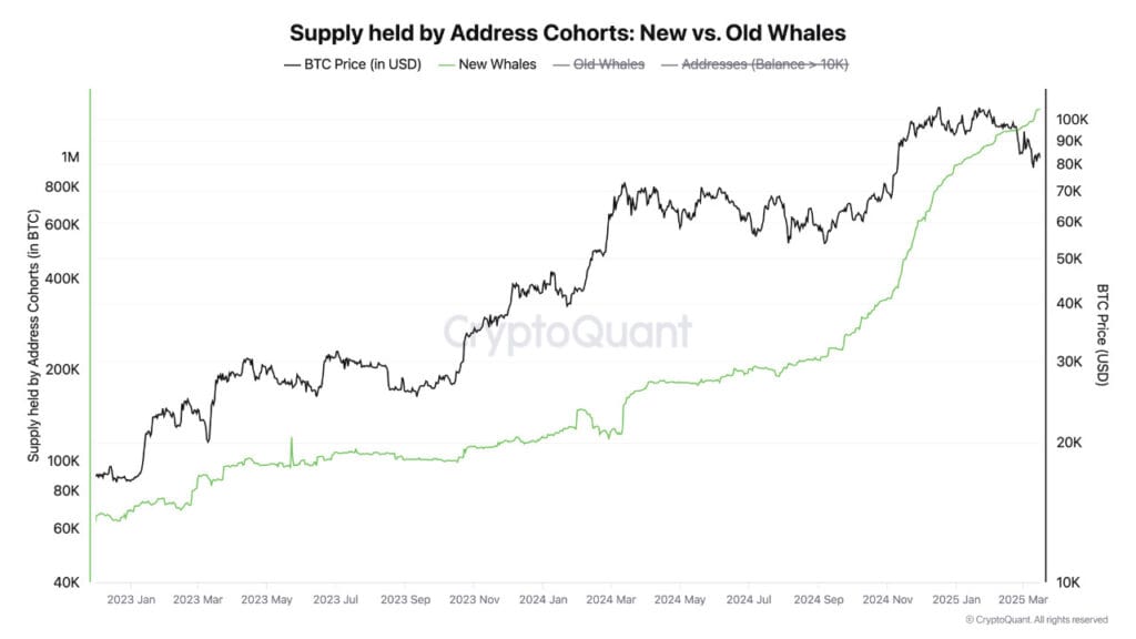 Bitcoin’s New Whales Accumulate 1M BTC: Bullish Surge Incoming? 2 image 145