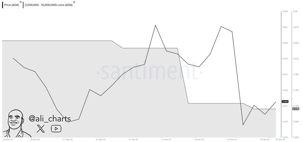 Cardano Struggles as Whales Dump 120M ADA, Will It Rebound Past $0.70? 1 ADA