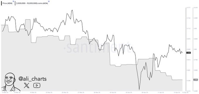 ADA Battles $0.63 Support After Whale Exit and Bearish Breakdown Threat 3 image 146 8