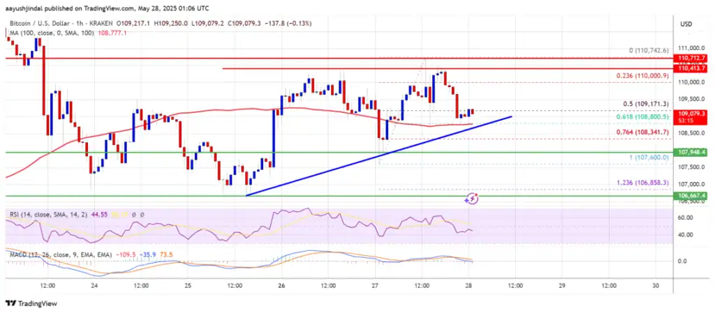 Bitcoin bec91b