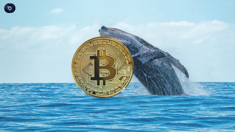 whale