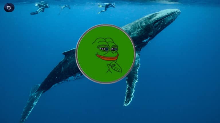 pepe