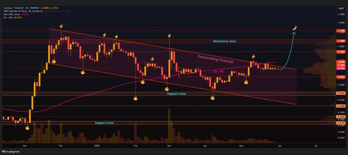 Cardano (ADA) Price Consolidation and Whale Activity Signals Potential Breakout 4 image 377 8