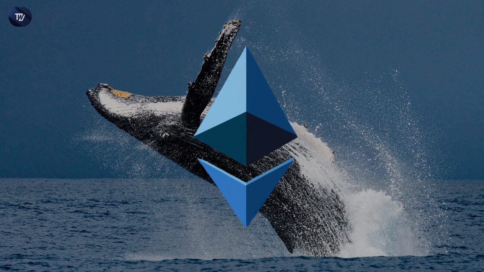 Ethereum Whales Add 1.49M ETH Fueling Explosive Bullish Outlook