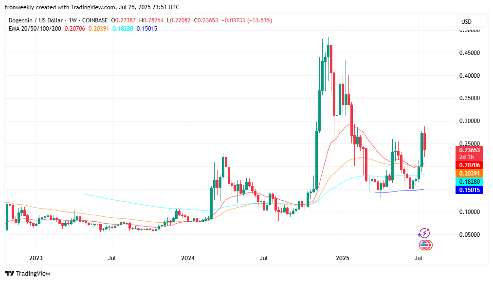 DOGEUSD 2025 07 25 16 51 37