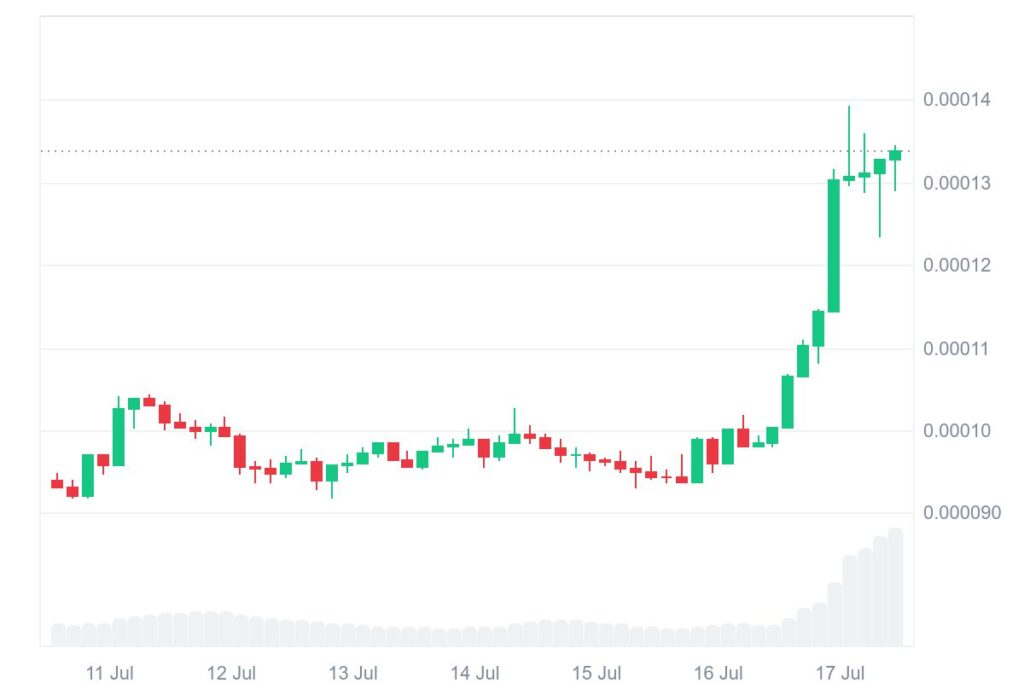 FLOKI 7D graph coinmarketcap 1
