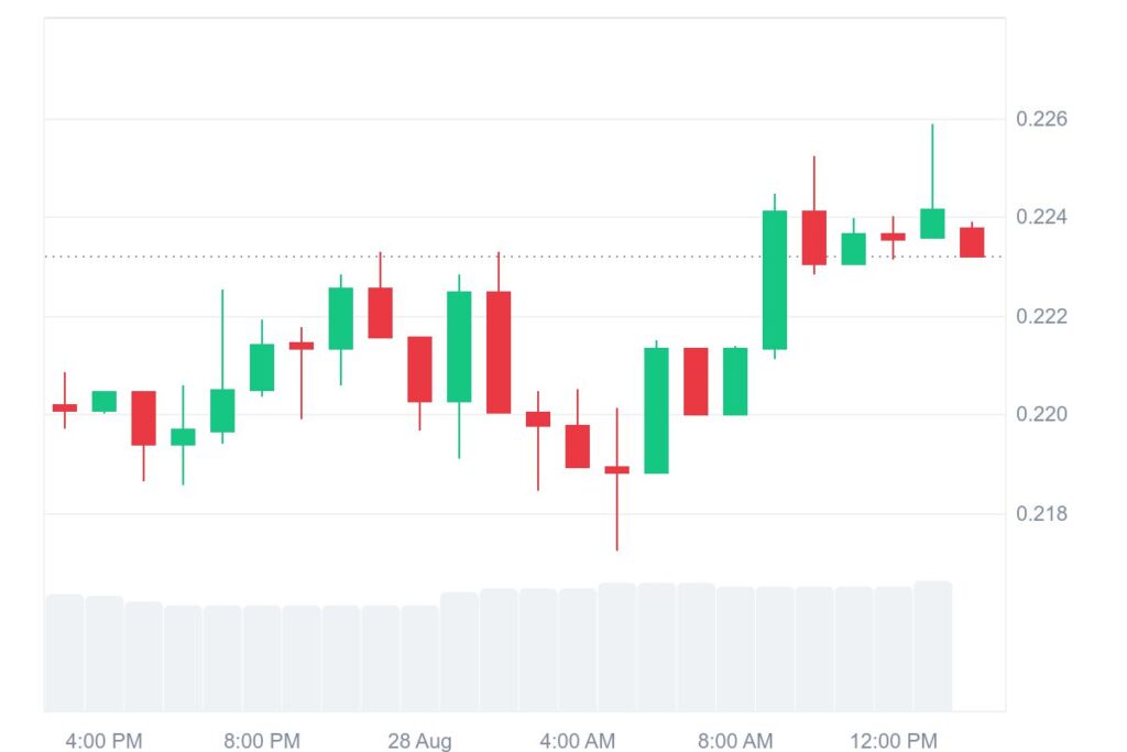 DOGE 1D graph coinmarketcap 11