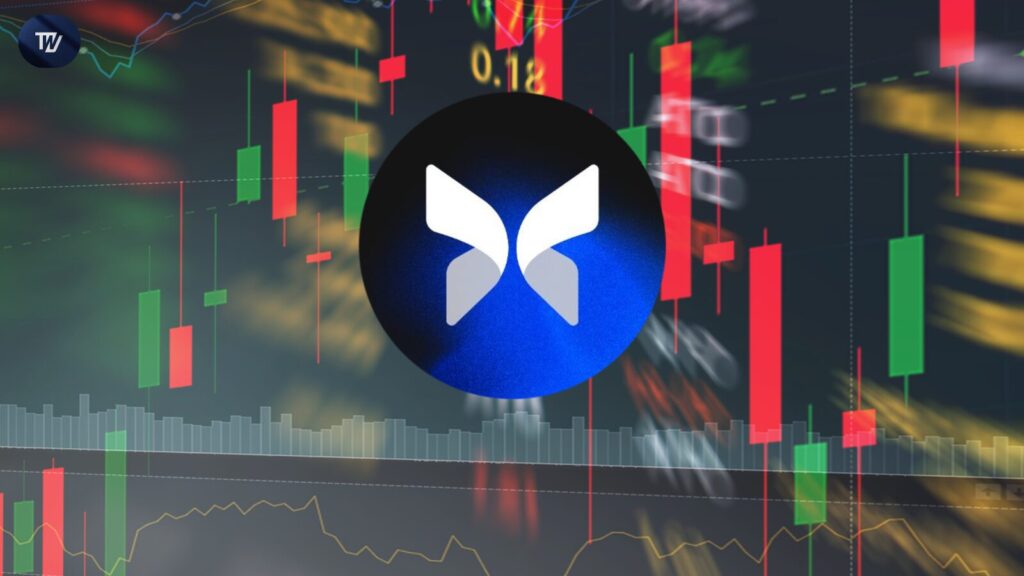 Morpho