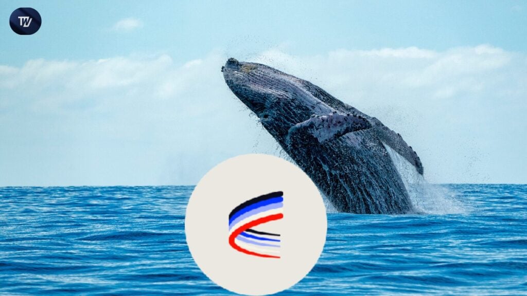 AERO Plunges to $1.39 as Whale Pulls $2.89 Million Out