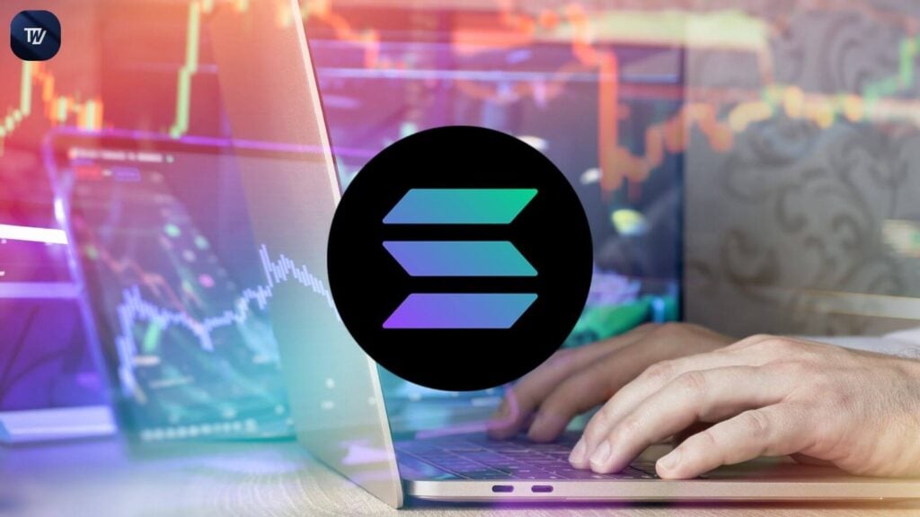 Solana Faces Pivotal Support Test: Is a Price Reversal Imminent?