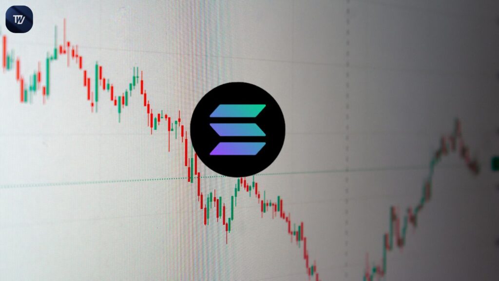 Solana ETF Momentum Drives SOL Toward Potential $300 Breakout