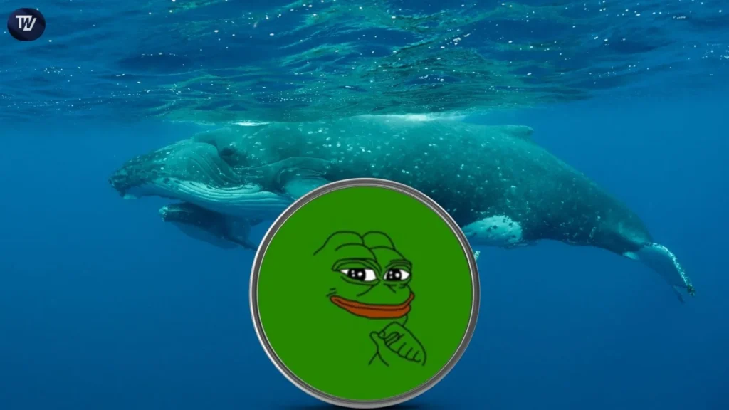 pepe