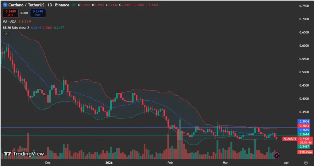 ADA price analysis