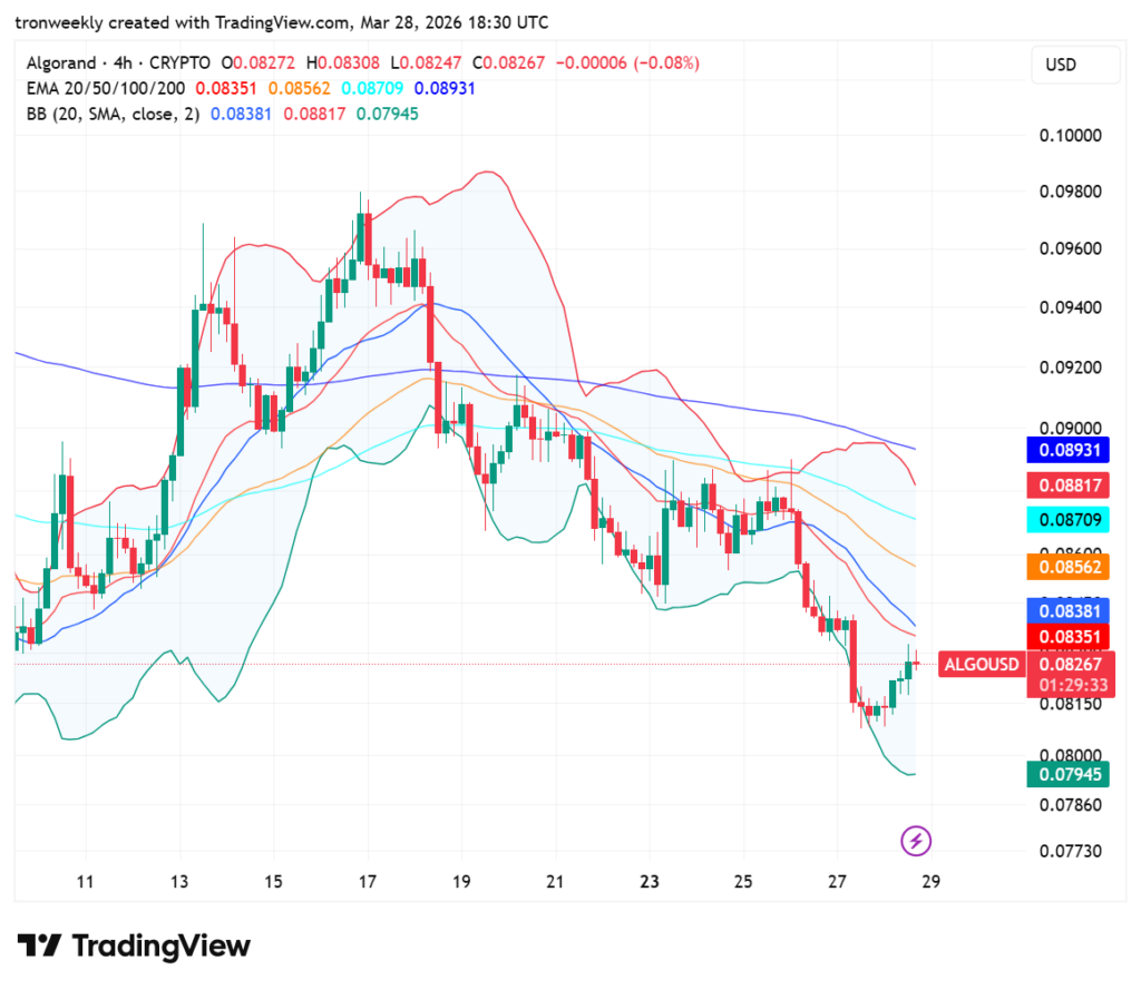 Algo price analysis