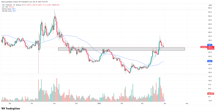 TAO Bullish breakout retest chart