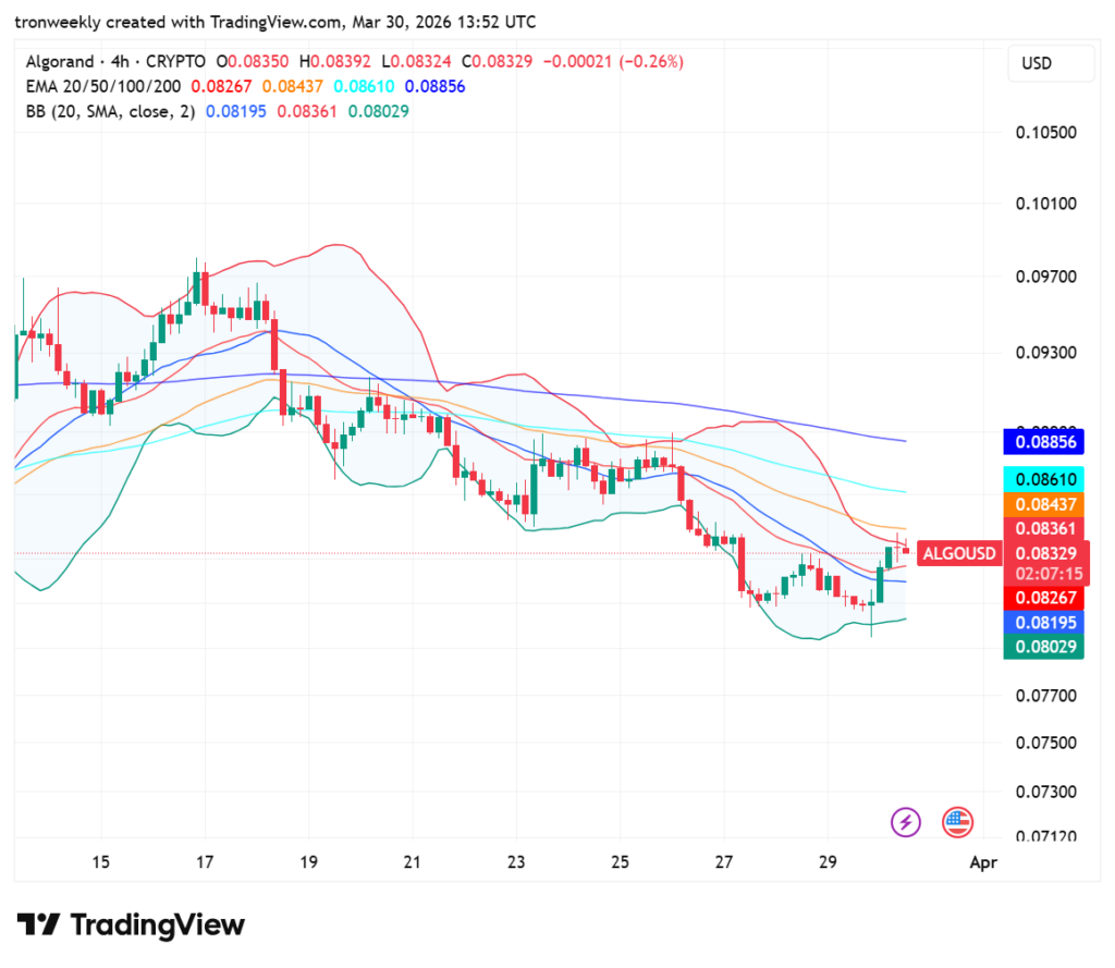 ALGO price analysis