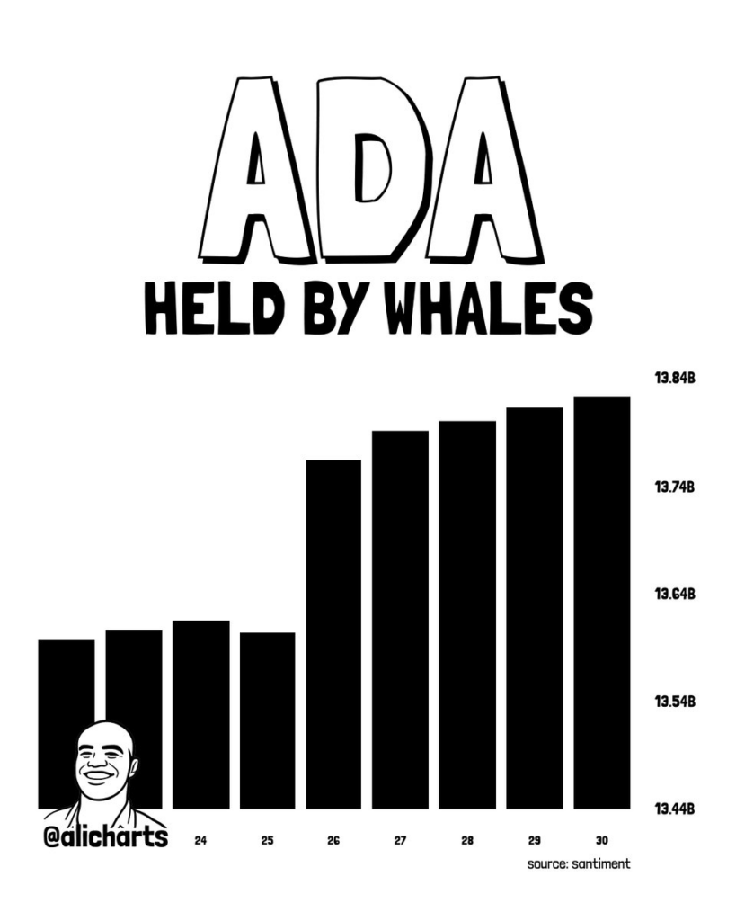 ADA price analysis
