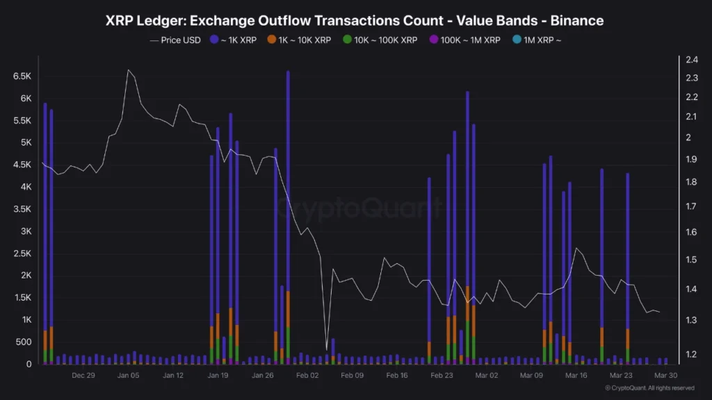 XRP exchange outflows rise as accumulation increases among mid-sized investors