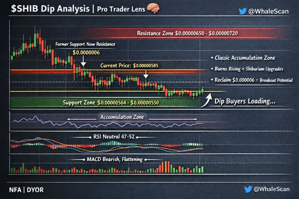 Shiba Inu price analysis