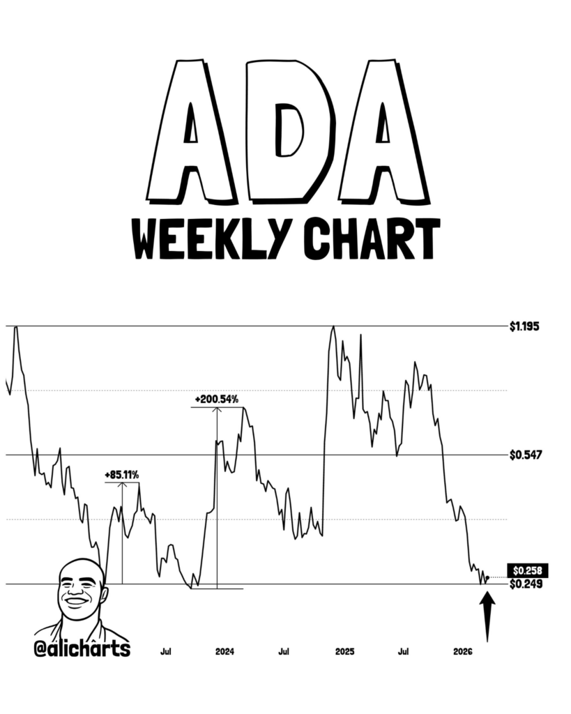 ADA price analysis