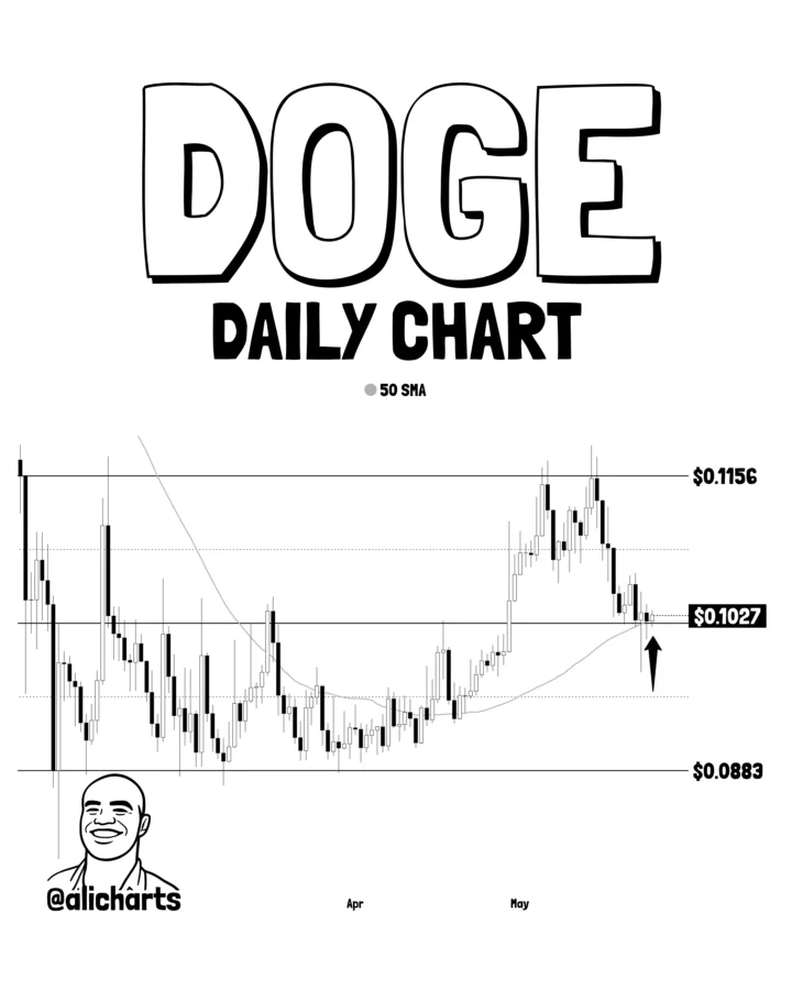 DOGE price prediction chart