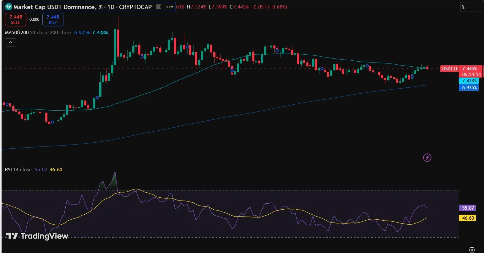 Chart Reflects Stable USDT Payment Adoption Trends