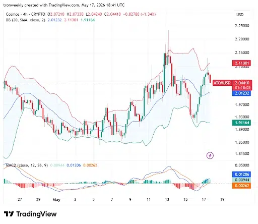 ATOM Technical Indicators Point to a Recovery Attempt