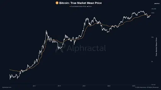 Cost Basis Metrics Track Bitcoin Market Transitions