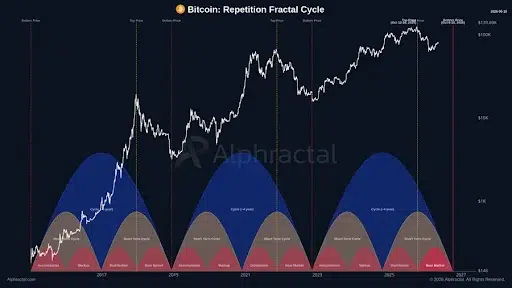 Bitcoin Cycle Indicators Reveal Market Position