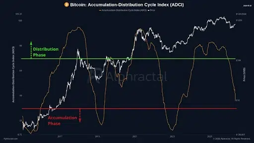 Bitcoin Cycle Indicators Reveal Market Position