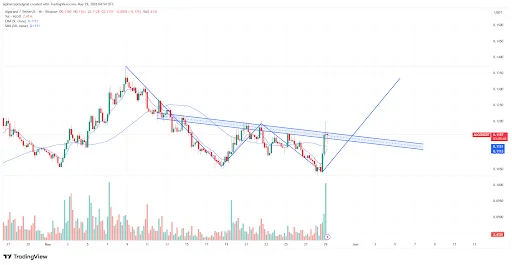 ALGO Price Signals Bullish Reversal as Breakout Nears