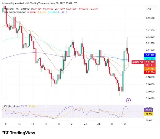 ALGO Derivative Data Point to Increasing Momentum