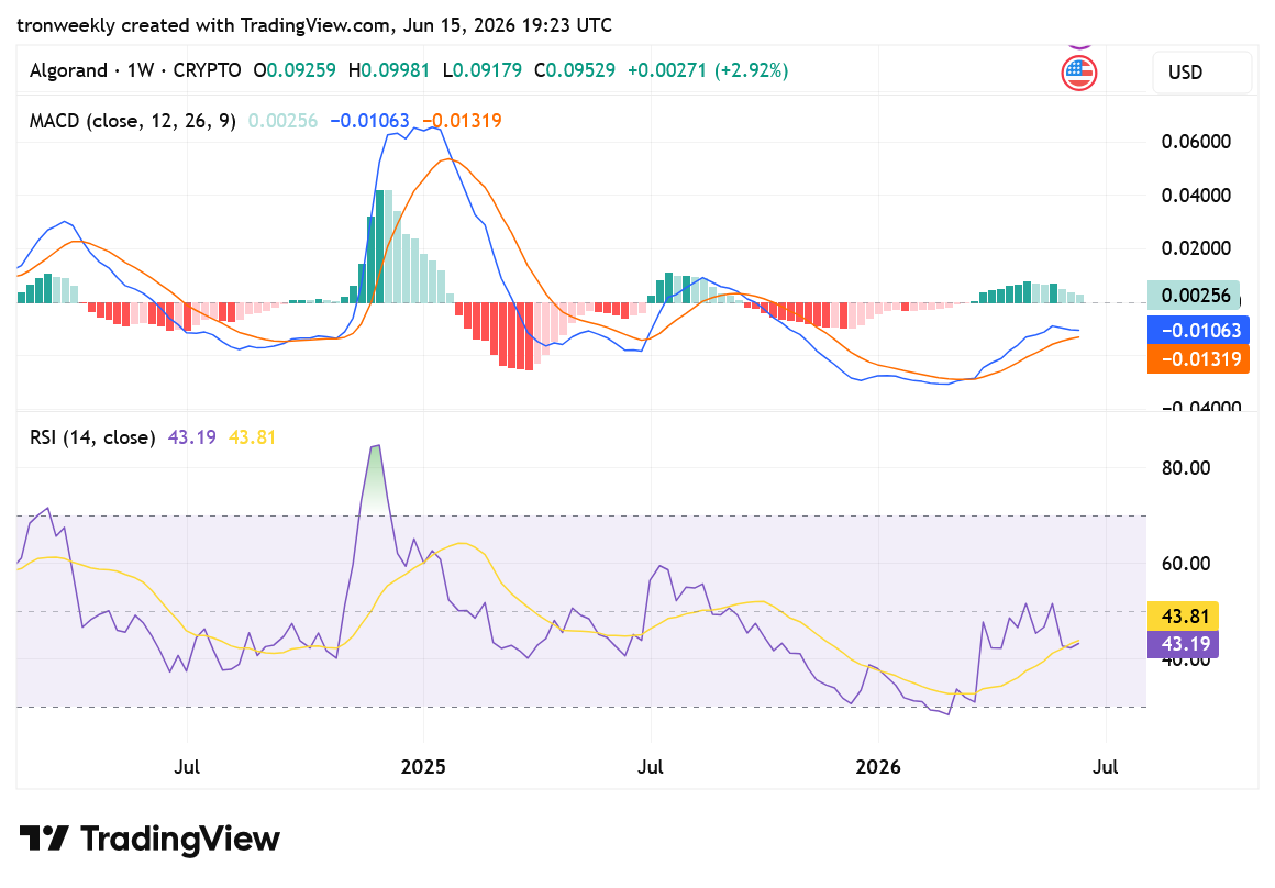 Algo tradingview chart
