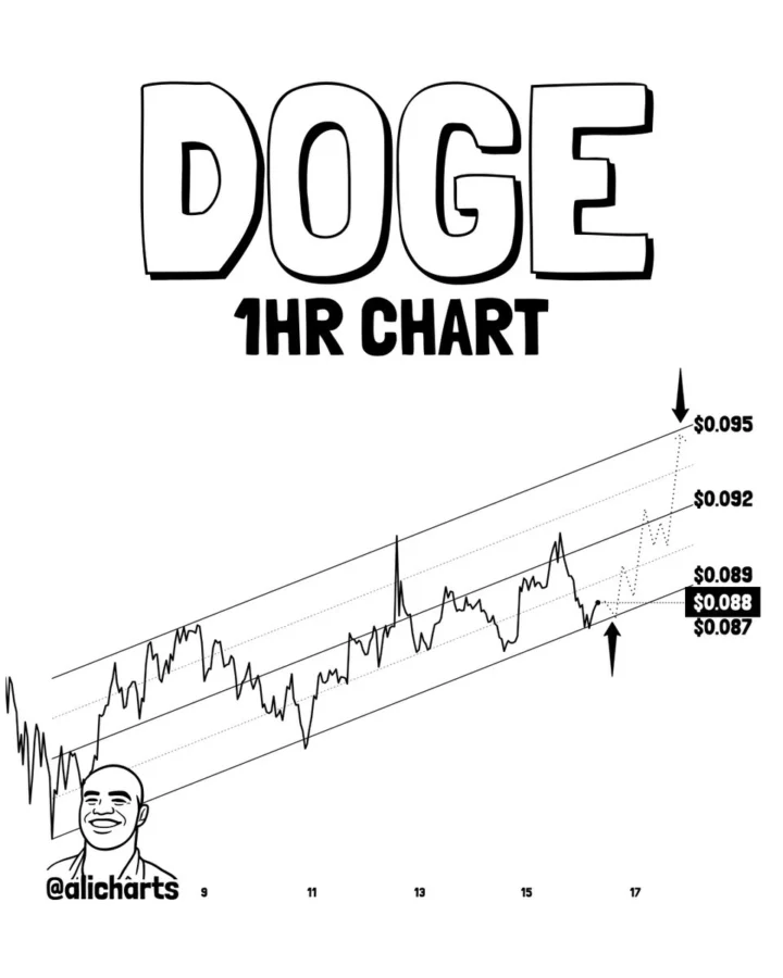DOGE 1 hour price chart