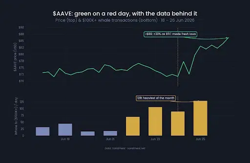 Whale Transactions and Network Activity Accelerate