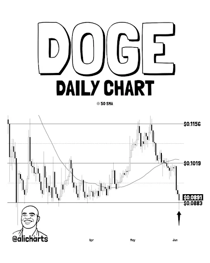 DOGE price chart