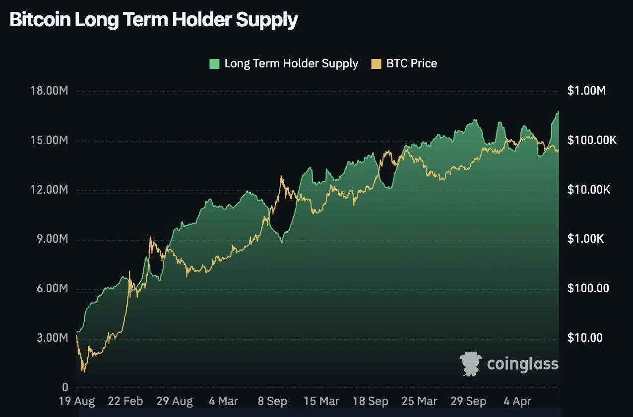 Bitcoin holder growth