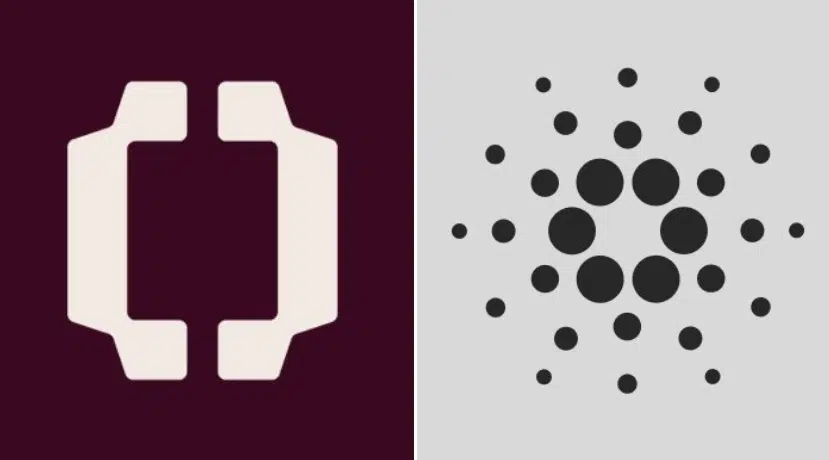 Cardano Welcomes OpenUSD