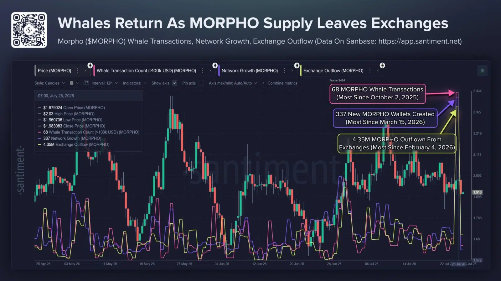 MORPHO whale activity and network growth