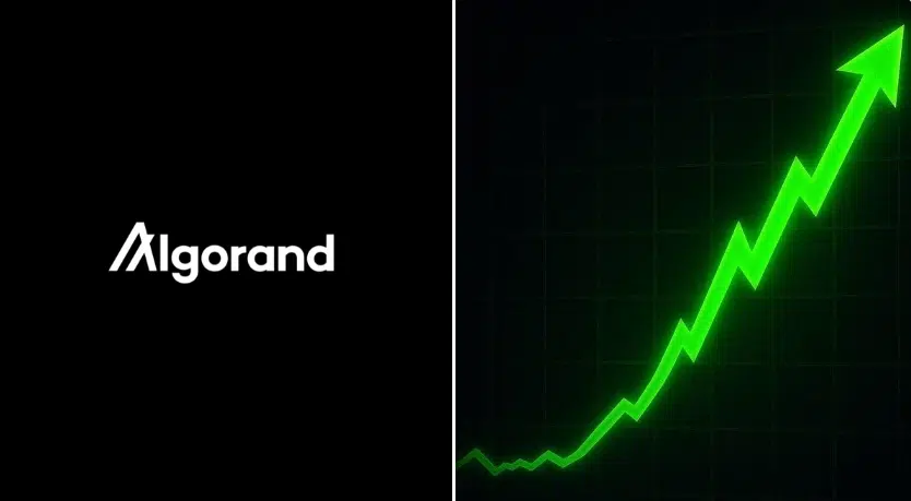 Algorand transaction growth