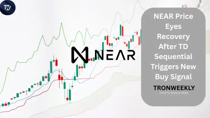 NEAR Price