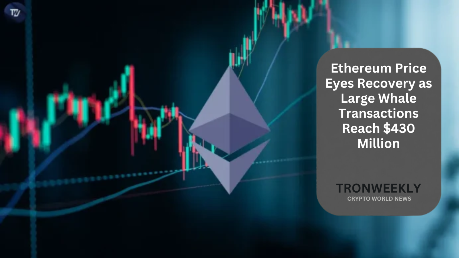 Ethereum Price Eyes Recovery as Large Whale Transactions Reach $430 Million